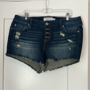 Torrid button fly denim shorts